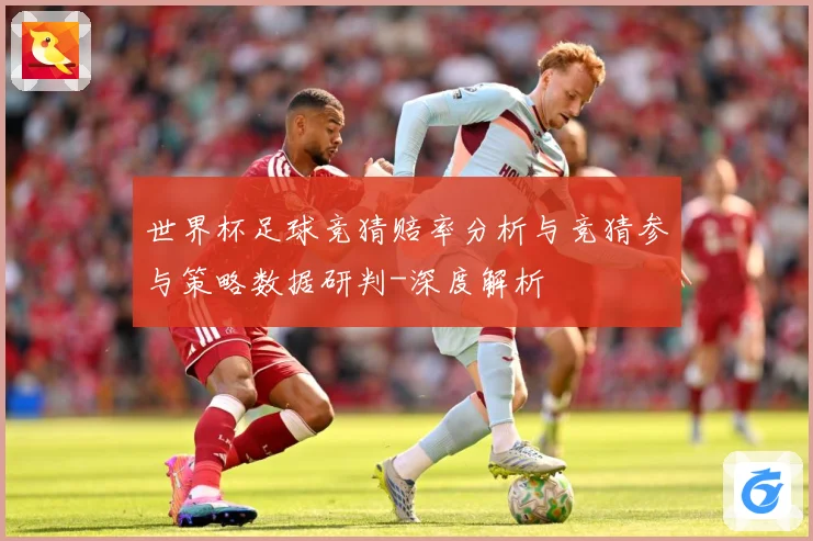 世界杯足球竞猜赔率分析与竞猜参与策略数据研判-深度解析